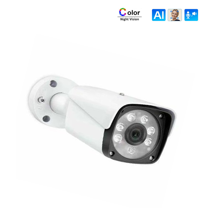 音声録音AI 4CH POE NVR 4台IPカメラキット  - Nvr Kit 4 Camera 5Mp Poe のレビューと価格